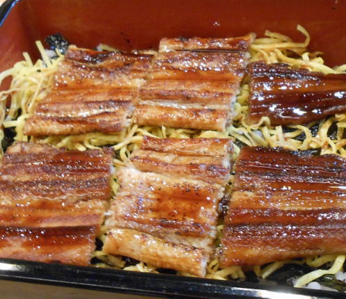 japanese-food-anago-domburi