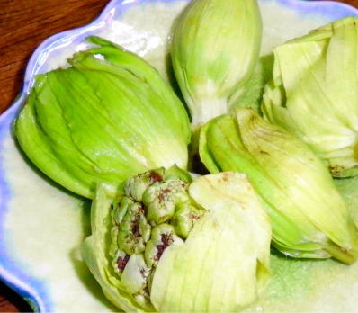 japanese-food-fukinoto