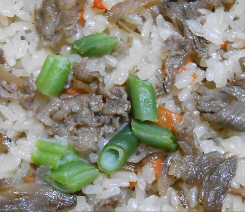 japanese-food-gyugobo-gohan