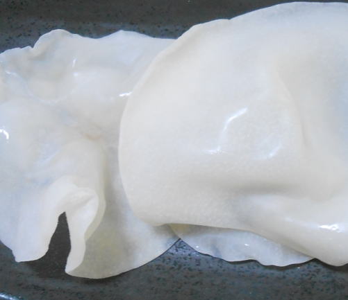 japanese-food-kikurage-white
