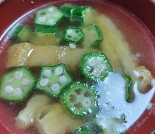japanese-food-miso-shiru-okura-negi