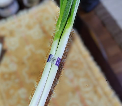 japanese-food-naganegi