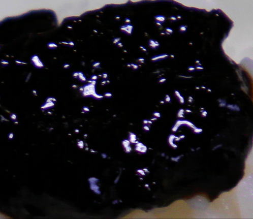 japanese-food-nori