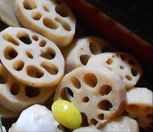 japanese-food-renkon