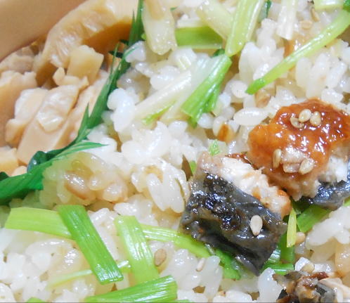 japanese-food-seri-gohan