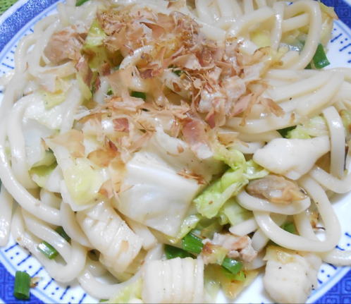 japanese-food-udon-niku