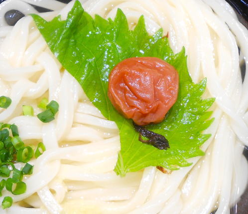 japanese-food-umeboshi-udon