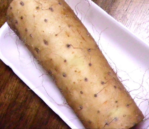 japanese-food-nagaimo