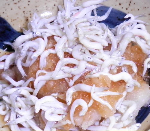 japanese-food-daikon-oroshi-jako