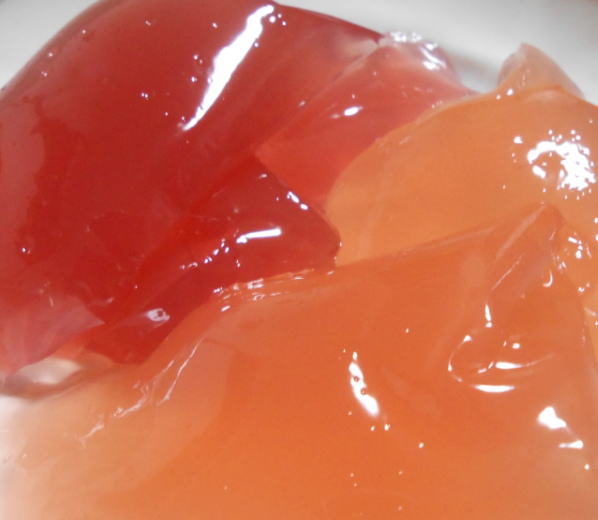 japanese-food-konnyaku-jelly