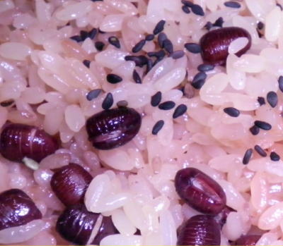 japanese-food-sekihan