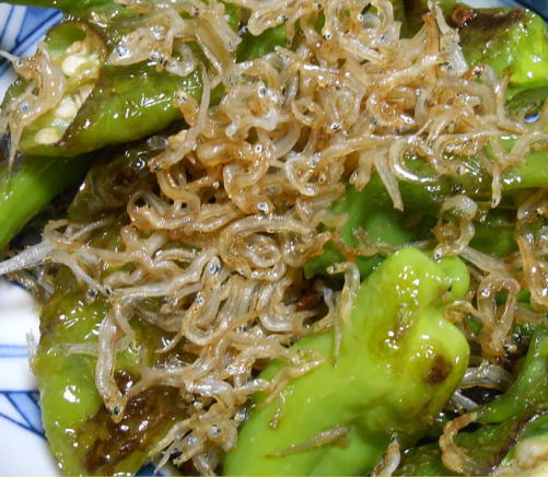 japanese-food-shishito-jako