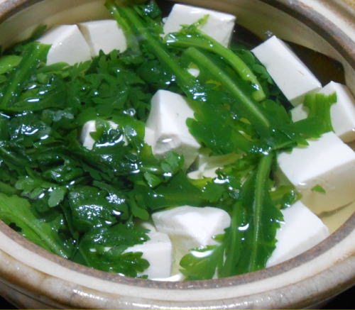 japanese-food-tofu-yudofu