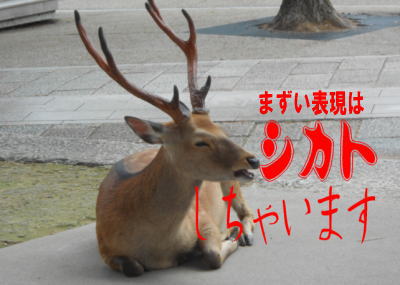 DeerDoingShikato